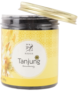Tajanjung-2